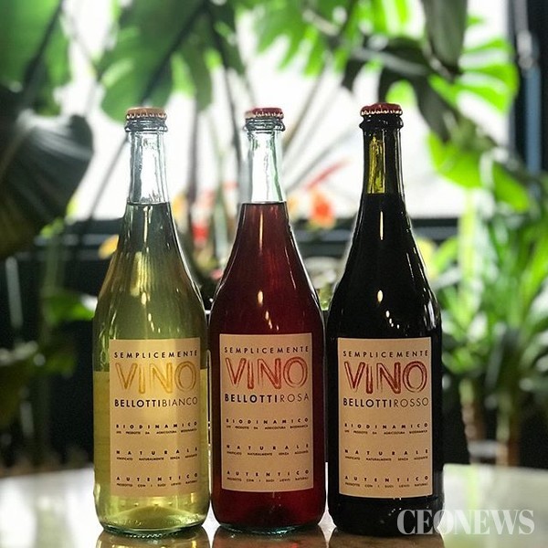 VINO시리즈 3총사