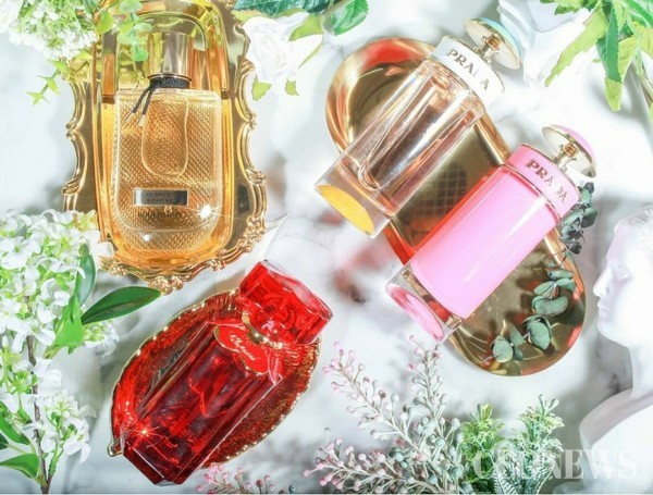 비정상회담 프랑스 대표 로빈이 PICK한 선물하기 좋은 향수 BEST 4