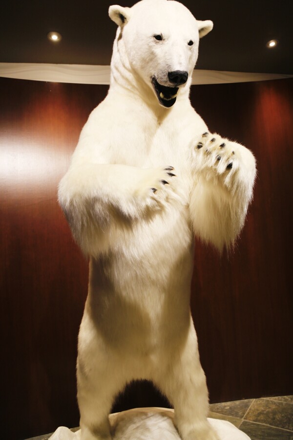 옐로나이프에 왔음을 알려주는 공항의 북극곰