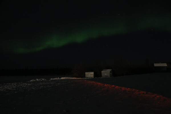 희미하게 나타난 오로라