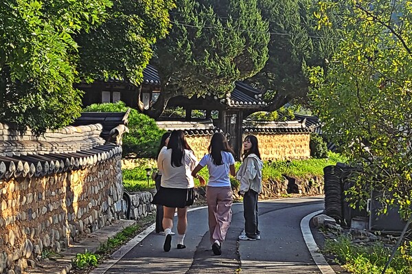 고즈넉한 마을을 산책하는 참가자들