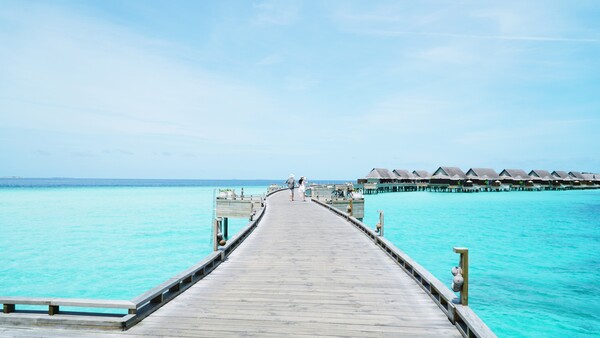 울트라 럭셔리 신혼여행을 위한 리조트 조알리 몰디브