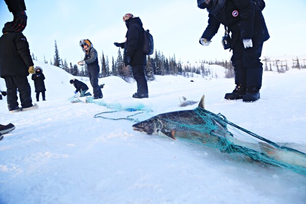 얼음을 깨면 줄줄이 세상 밖으로 끌려 나오는 물고기들