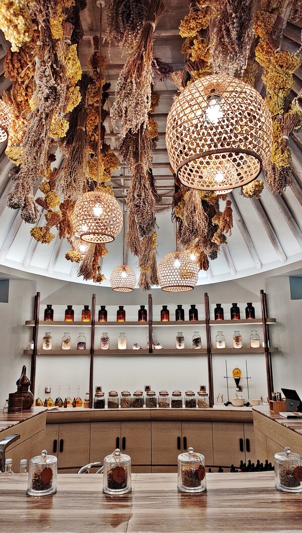 웰빙 테라피스트들의 치유의 손길을 즐길 수 있는 아레카