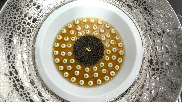 SJM 미식을 대표하는 로부숑 오 돔의 아름다운 미식 세계